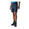 Dare 2B Mens Torrek Lite Shorts