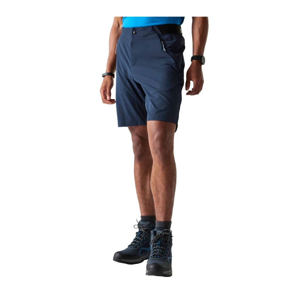 Dare 2B Mens Torrek Lite Shorts