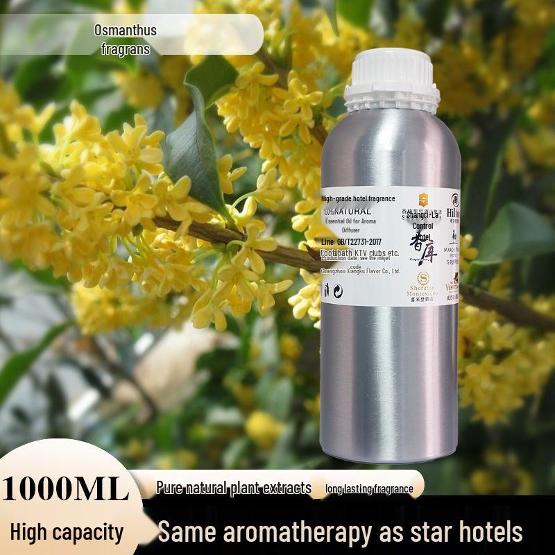 Oil-Soluble Aroma Diffuser Machine: 1000ML Essential Oil Sprayer for Hotels, Clubs, and Commercial Spaces