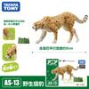 Tomica Cars Toys For Boys Holiday Gifts TOMY Domeka Anlia Animal Mini Simulation Movable Model Tiger Lion Cheetah Boy Toy
