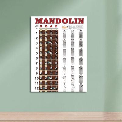 Mandolin Chords Chart Poster,Mandolin Reference Poster,22.05''x15.75'' Wall Chart,Notes Fingering