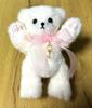 [USED] Limited-time Offer: White Stuffed Toy Teddy Bear Fiony White Pink Bear