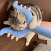 Plush Cat Teaser Long Dog Interactive Toys Cute Funny Cat Stick  Gift