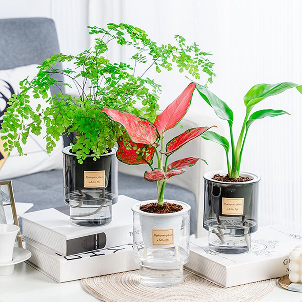 Self Absorbing Flowerpot Transparent Hydroponic Plant Vase Anti Fall Plastic Flowerpot Spring Seedling Planting Pot Garden Tools