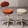 Beauty Salon Swivel Stool: Hairdresser, Nail Technician, Makeup Artist, Barber Wheeled Chair