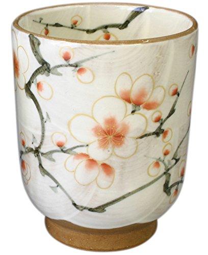 

Aito Kyo-yaki (Kiyomizu-yaki) Touan Kiln Teacup (Wooden Box) Large Red and White Plum Blossom Design Toua 017-01