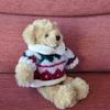 [USED] DreamingBears teddy bear with sweater