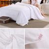 Mulberry Silk Cotton Quilt Winter Thickening Dormitory Single Warm Winter Quilt Core Double Air-conditioned Quilt