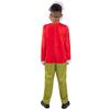 THE GRINCH Childrens/Kids Dr. Seuss Santa Costume