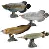 Solid Static Simulation Marine Animal Model Plastic Ornament Golden Arowana Silver Arowana Children'S Toy Figure