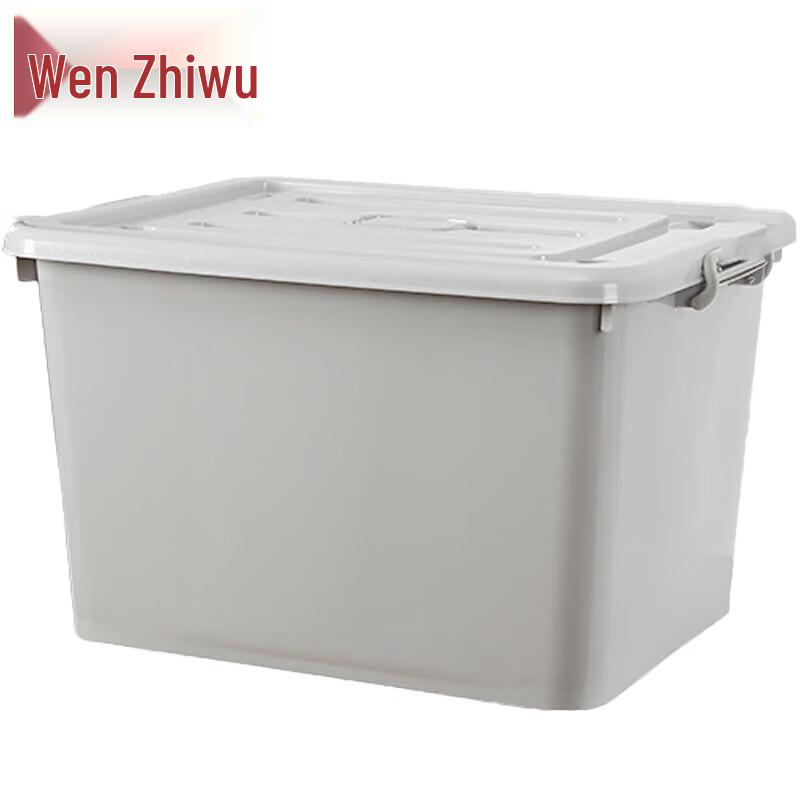 Wenzhiwu Large Plastic Storage Box with Lid