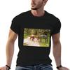 Cumberland Island Wildpferde haben die freie Verfügung über die Insel T-Shirt Unisex T-Shirt Designer Baumwoll-T-Shirt Unisex-T-Shirt