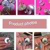 6 Set Wooden Parrot Perch Mount Screws Nuts Washer Kit Hardware for Natural Wood Bird Perch DIY Wood Birds Stand Branch Platform Playground Wild