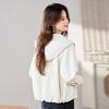 Fashion casual short trench coat women's spring and autumn early spring new temperament small top