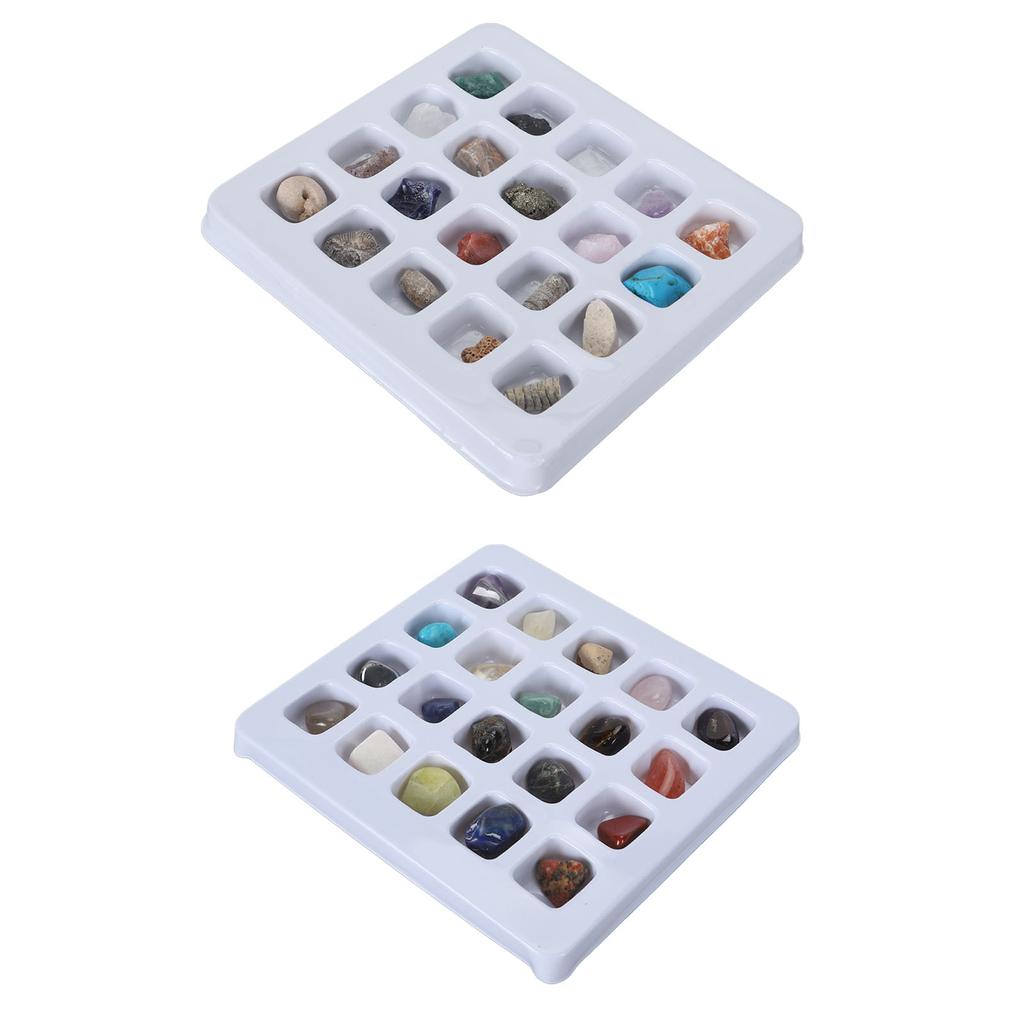 20pcs Rock Stone Colletction Kit for Boys Girls Exquisite Science Classroom Rocks and Minerals 