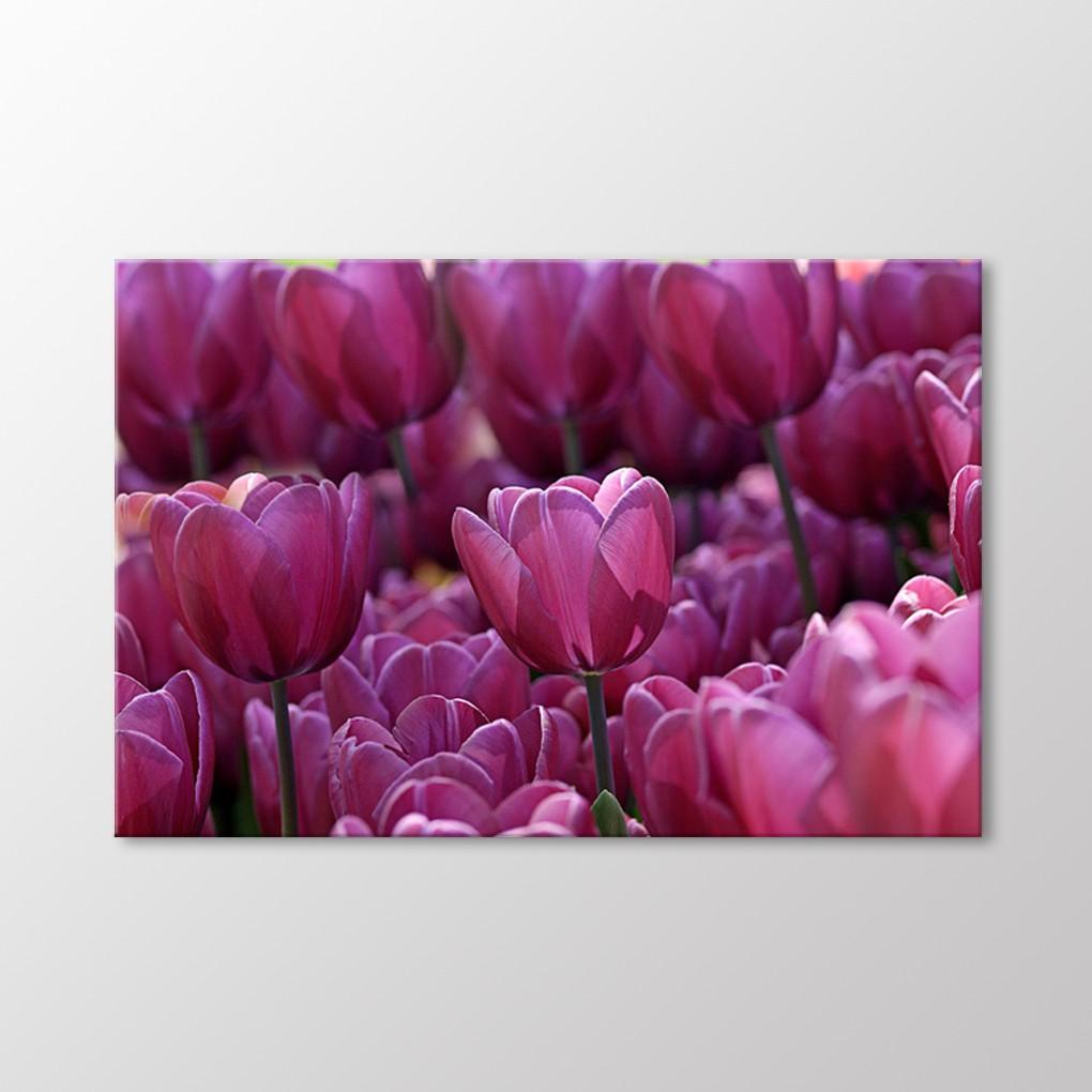 

Стол тюльпанов