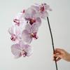High Quality Luxury Flowers Latex 8 Heads Butterfly Orchids Artificial Real Touch Phalaenopsis Orchid Wedding Decor