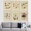 Nordic RETRO Art Canvas Painting Butterfly Insect Evolution Poster Living Room Corridor Wall Painting Home Decoration Mural No Frame