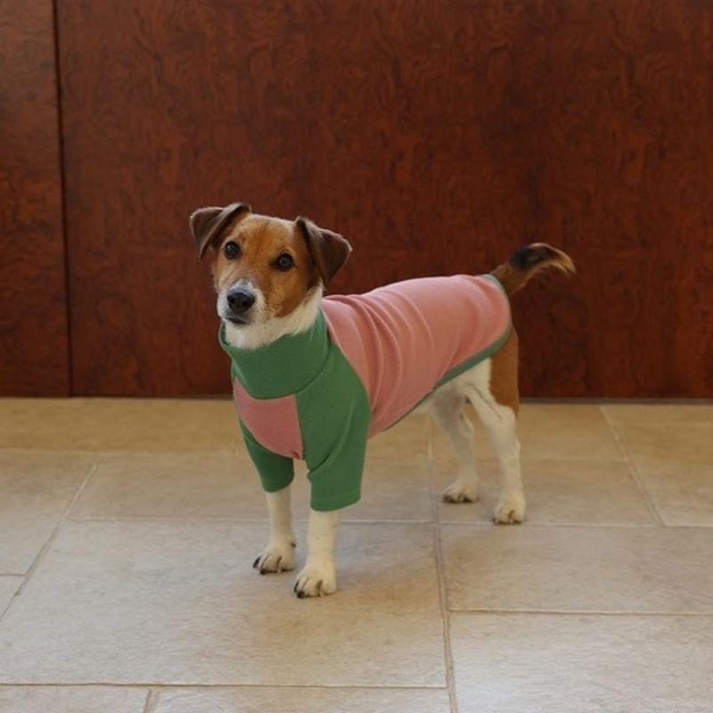 GOPE GOPE Dog Raglan Turtleneck GRPI