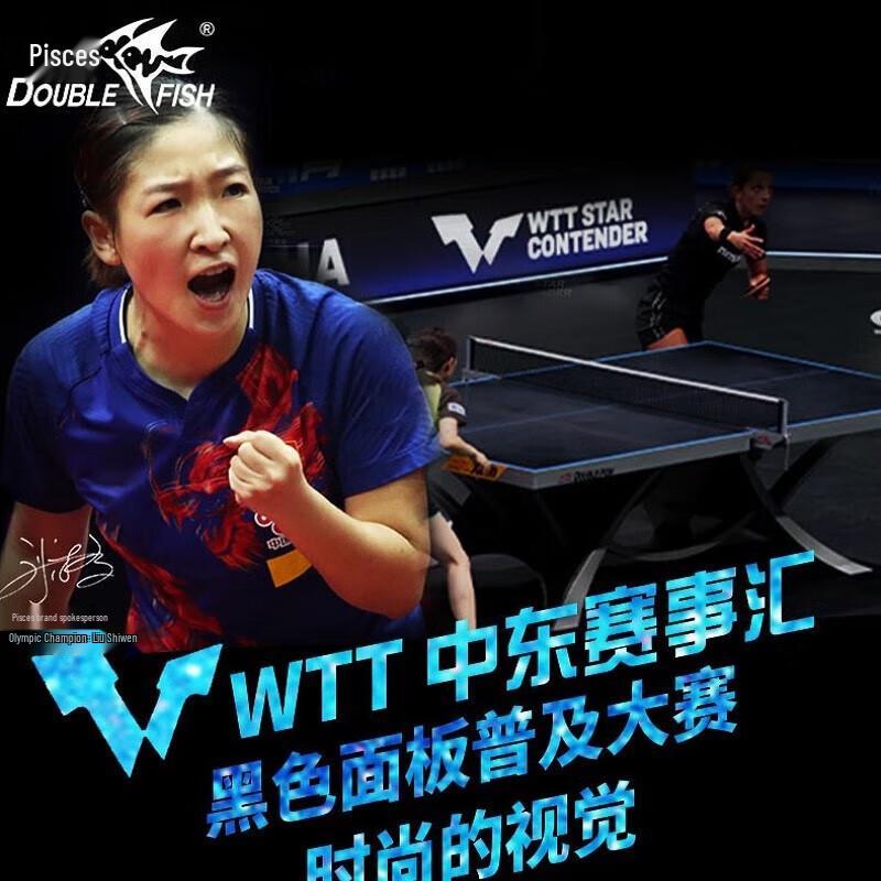 Double Fish Professional & Home Ping Pong Tables