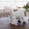 Pet Spring Embroidery Comfortable Lace Princess Skirt Pleated Skirt Teddy Cute Vest Dog Dresses for Small Dogs Puppy Clothes