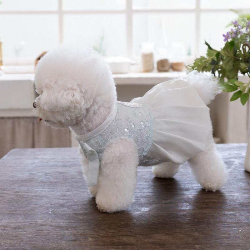 Pet Spring Embroidery Comfortable Lace Princess Skirt Pleated Skirt Teddy Cute Vest Dog Dresses for Small Dogs Puppy Clothes