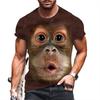 Fashion Animal Monkey Printed Kids Adult T-shirt Summer Women's and Men's Casual Outdoor Girl and Boy Short Sleeve Tees Top Pullover