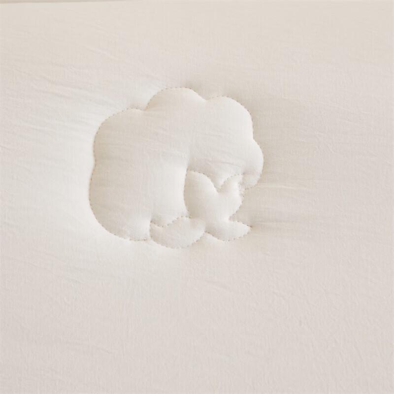 Arctic Velvet Xinjiang Cotton Winter Quilt
