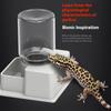 Reptile Water Bottle Automatic Water Feeder With Bottle For Tortoise Turtle Lizard Anti Drowning Water Dispense Pet Supplies