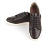 Roshoeman 6004 New Snickers Dark Chestnut Anaconda
