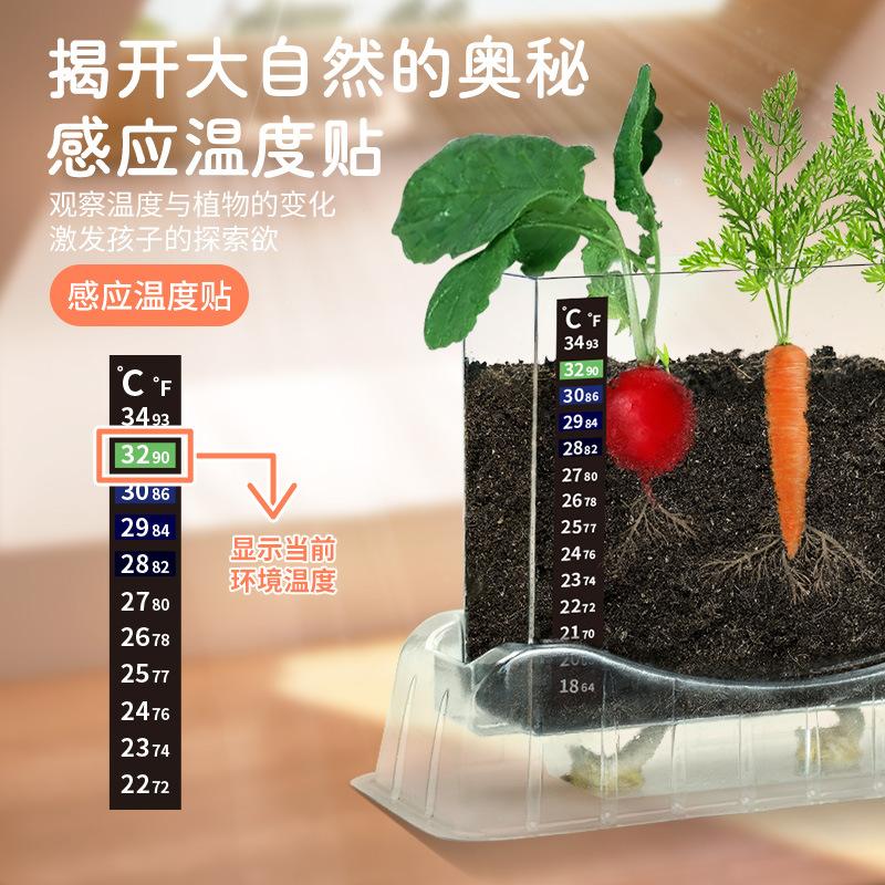Xueyouma Plant Root System Observation Box Planting Seed Growth Scientific Experiment Handmade Toys Children Primary And Secondary School Students