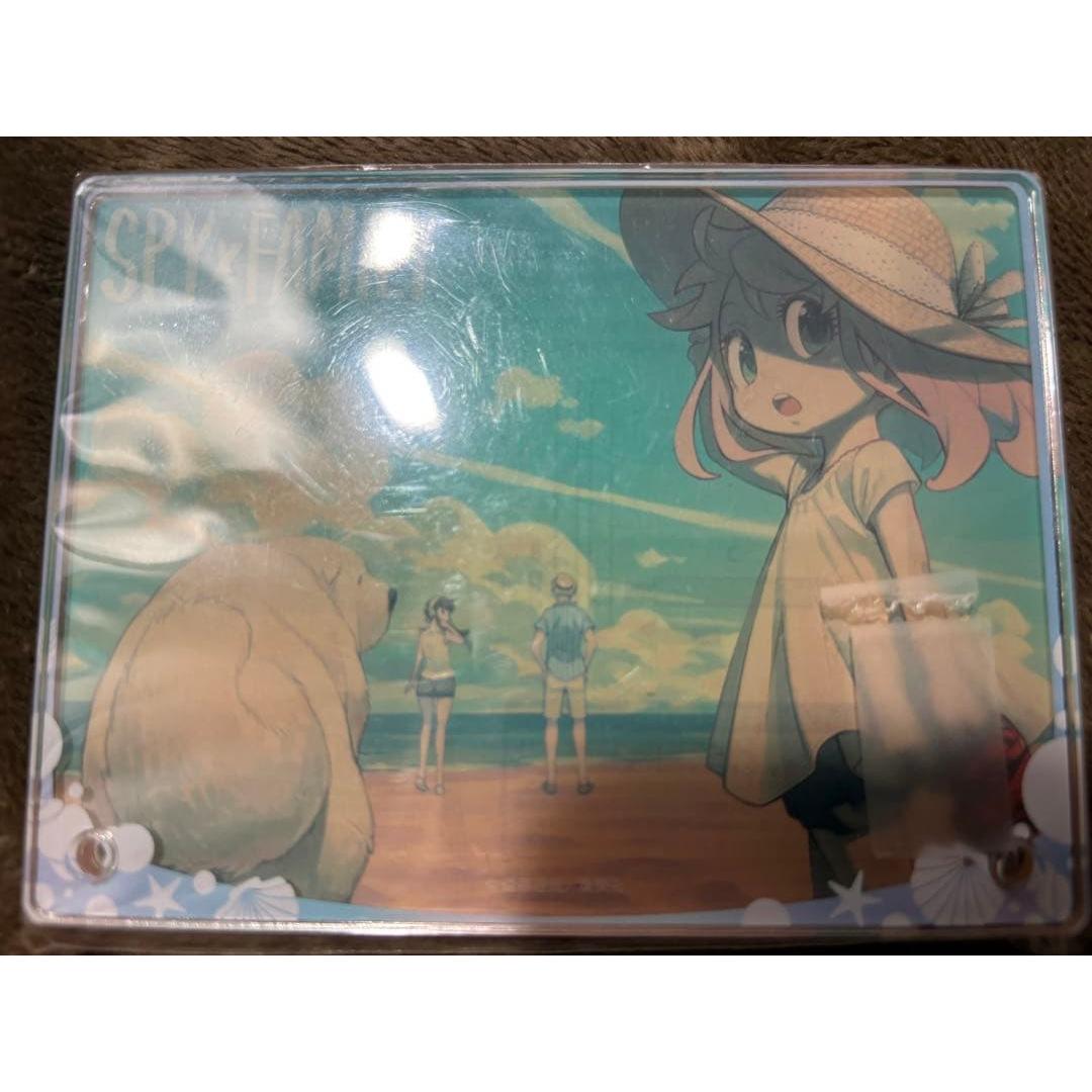 Used SPYFAMILY art panel
