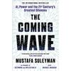The Coming Wave Ultimate AI Insider Paperback A319 UKN905