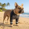 Breathable Dog Leg Support Sleeve Adjustable Front Leg Protective Cover  Joint Protection