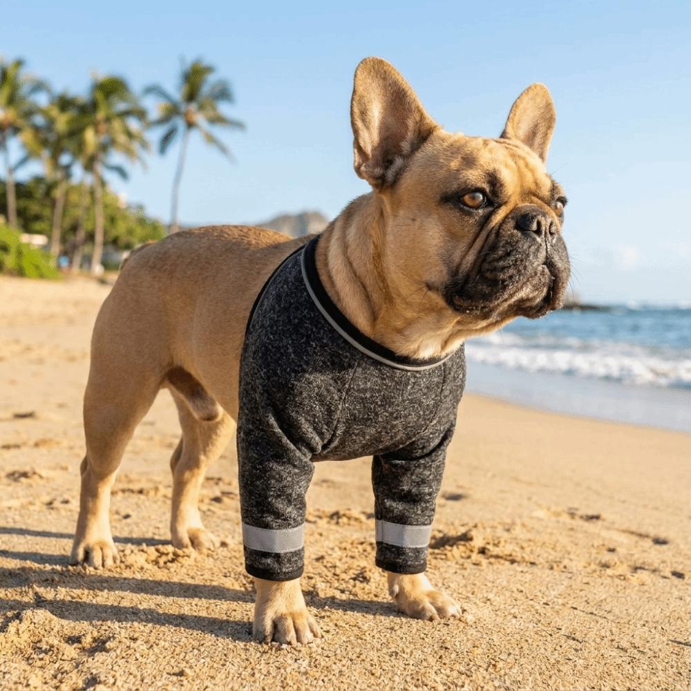Breathable Dog Leg Support Sleeve Adjustable Front Leg Protective Cover Joint Protection