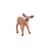 1pcs Animal Statue Small Whitetail Deer Solid Decoration Christmas Desktop Decoration Gift