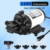 33 Small Electric RV/Yacht Diaphragm Water Pump, Boosted Self-Priming System with Pressurizing Tank and Stabilized Supply