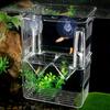 Double-layer Transparent Fish Breeding Tank Versatile Aquarium Isolation Box