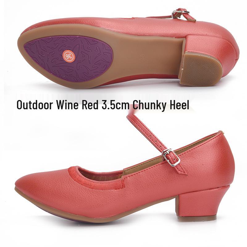 Women's Soft Sole Ballroom & Square Dance Shoes - Ox Tendon Sole for Modern Latin and Waltz.