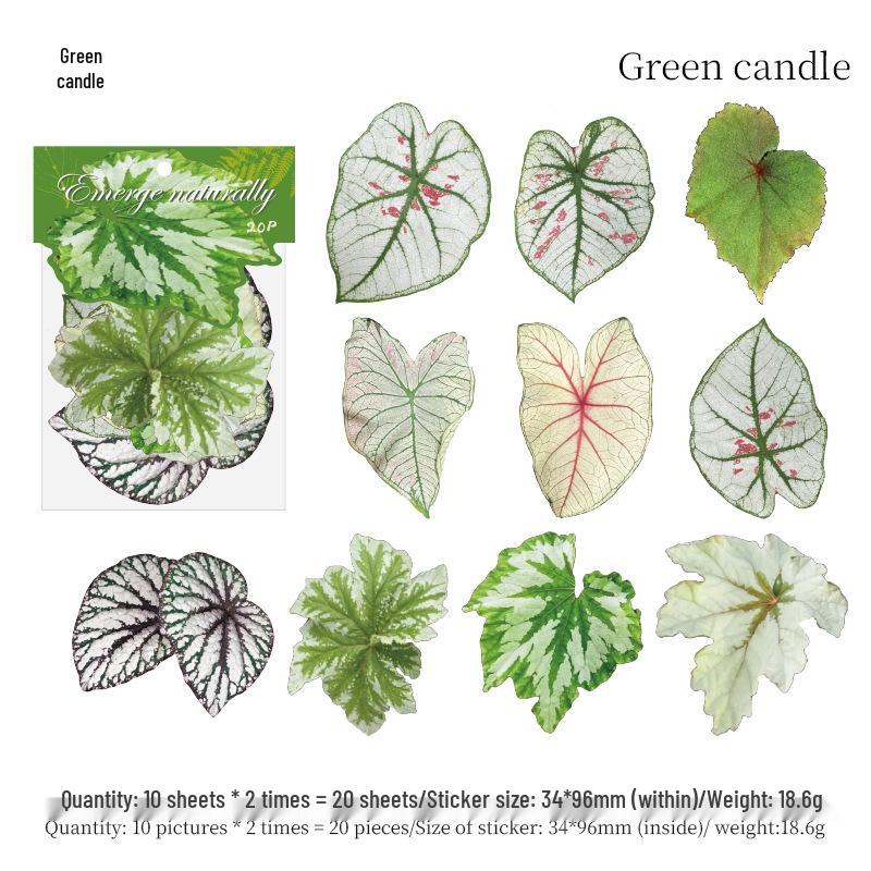 Mu Ran Realistic Natural & Dyed Leaf Stickers - Irregular Shape, DIY Journal Decoration