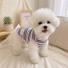 Breathable Summer Dog Vest D-Ring Harness Puppy Clothing New Dog Tulle Dress  Photoshoot Use