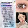 Natural Thick Fox Cat Elf Eyelashes – Little Devil Series