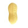 Chew-Resistant Peanut Dog Toy: Cute, Tear-Resistant, Sounding Vinyl for Teething Pets