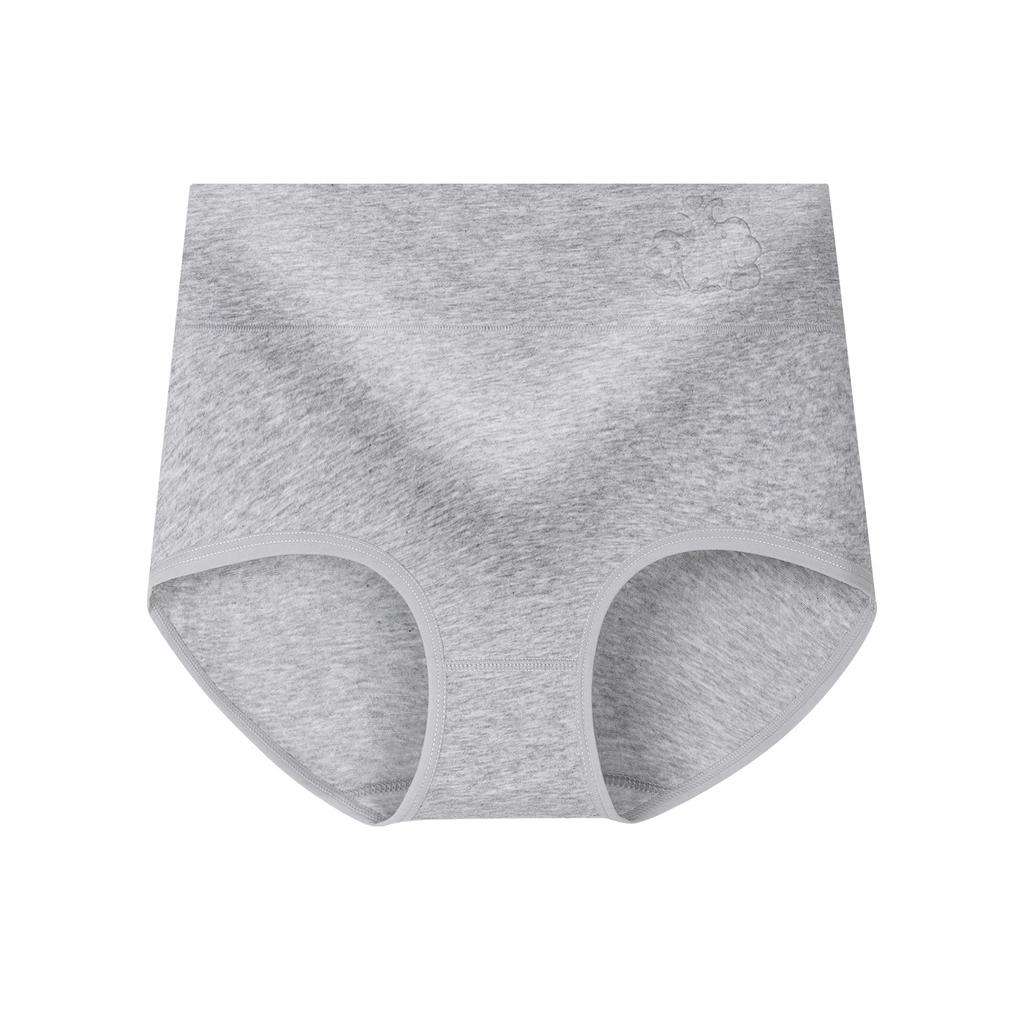 Plus Size Women's Pure Cotton 10A Antibacterial Cotton Crotch High Waist Tuck Briefs