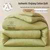 Darphin Grade A Xinjiang Pure Cotton Quilt