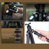 FALCAM TreeRoot QuickLock Lite Carbon Fiber Tripod with Ball and Compact Travel Tripod with 40kg Vertical Load Thick Legs for Cameras Head,