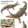 Cross-Border Children's Cognitive Amphibian & Reptile Tortoise Model Fish Tank Ornament Toy