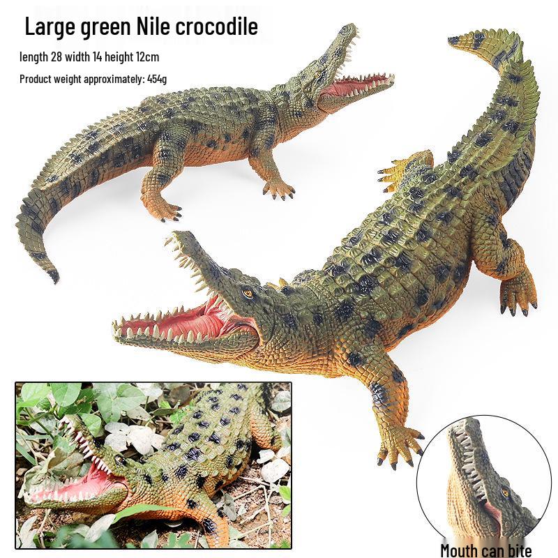 Cross-Border Children's Cognitive Amphibian & Reptile Tortoise Model Fish Tank Ornament Toy