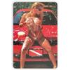 Decorative Metal Tin Sign, Anime Fitness Girl, 20x30 cm