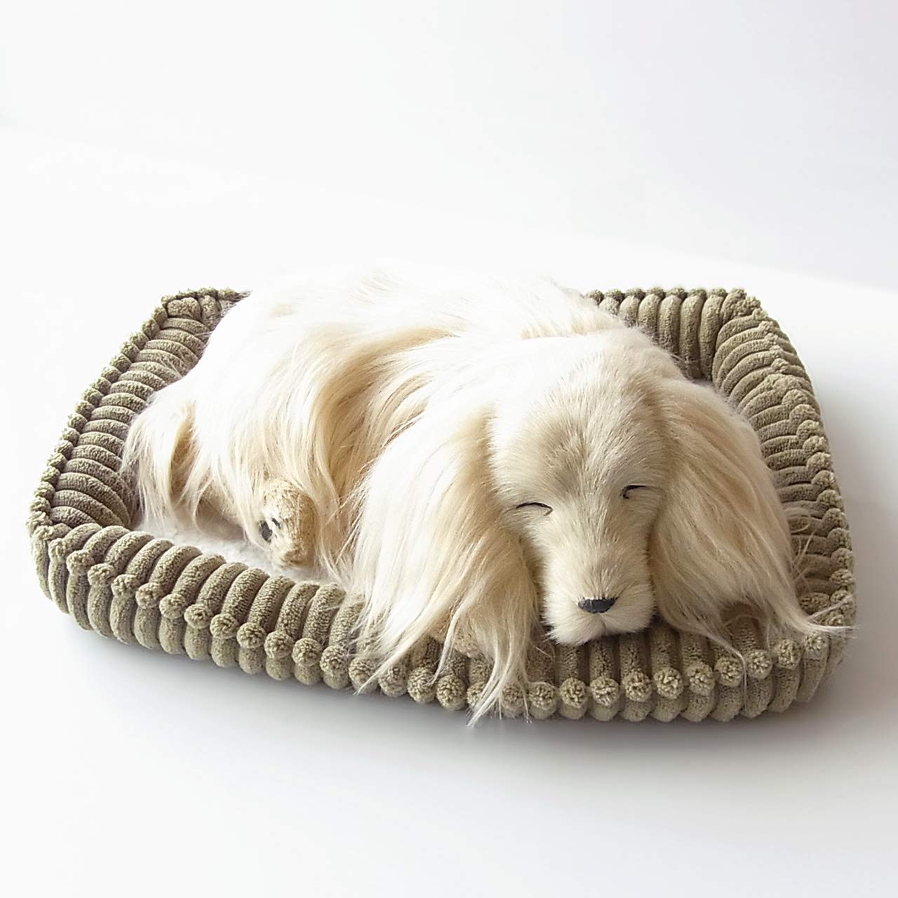 

Ninian and Kino Perfect Pet Dachshund Long Plush Lifelike Dog Stuffed Animal (Small) (Yellow, Cream, Gold) Dog, Realistic, Dachshund, Animal,